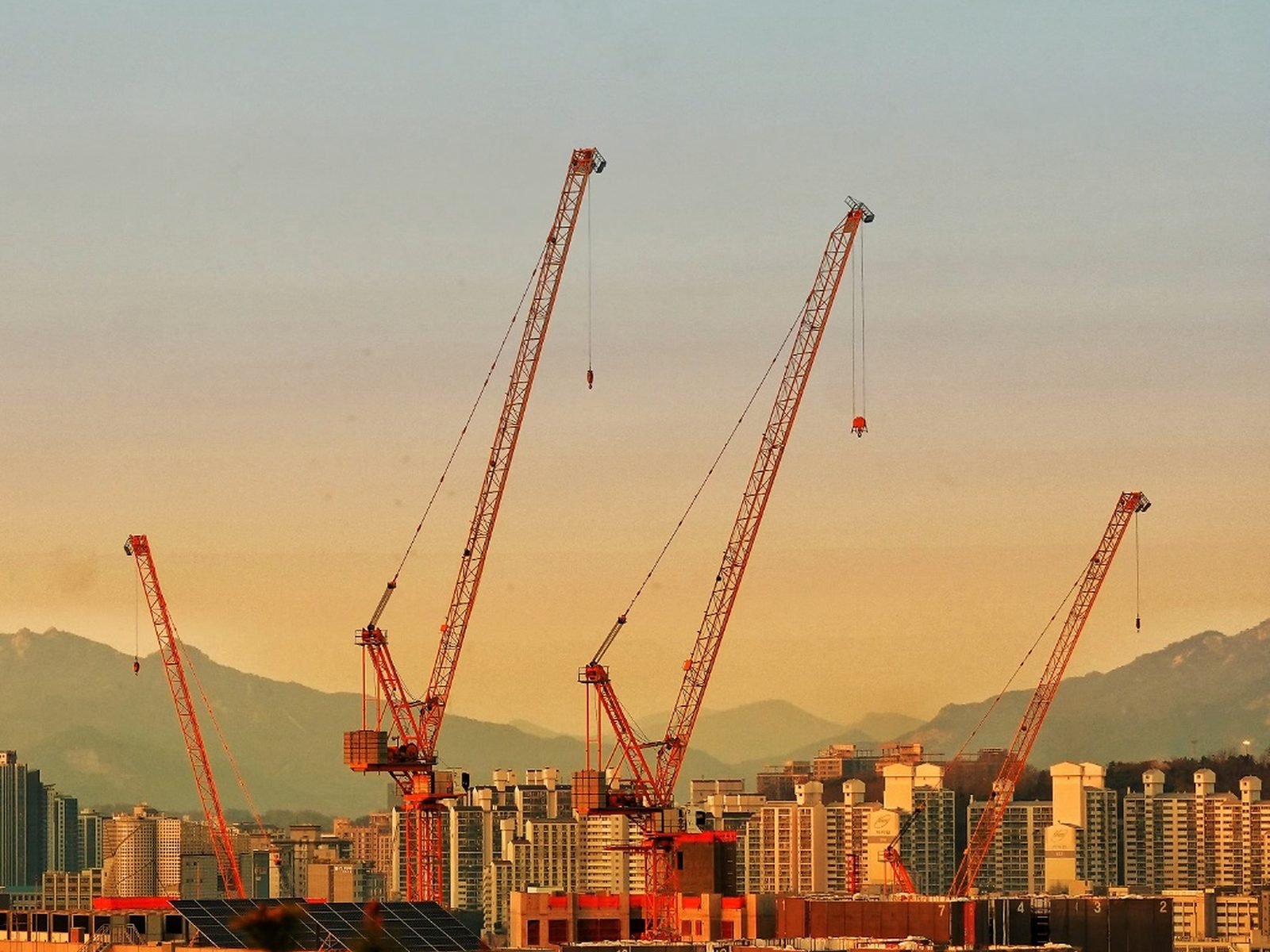 Tower cranes over a construction site at dusk